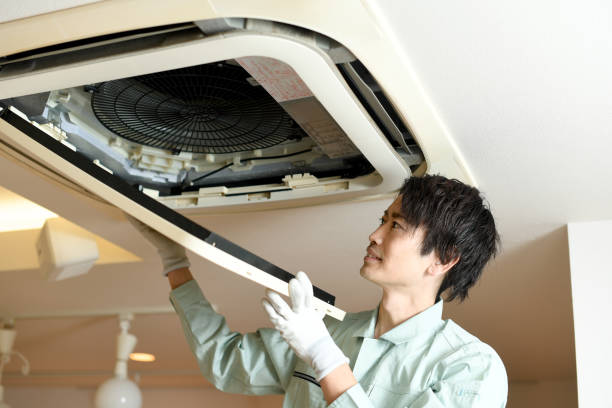 Air Duct Mold Removal in Erwinville, LA